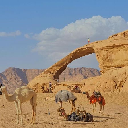 Wadi Rum Desert Camp Exteriér fotografie
