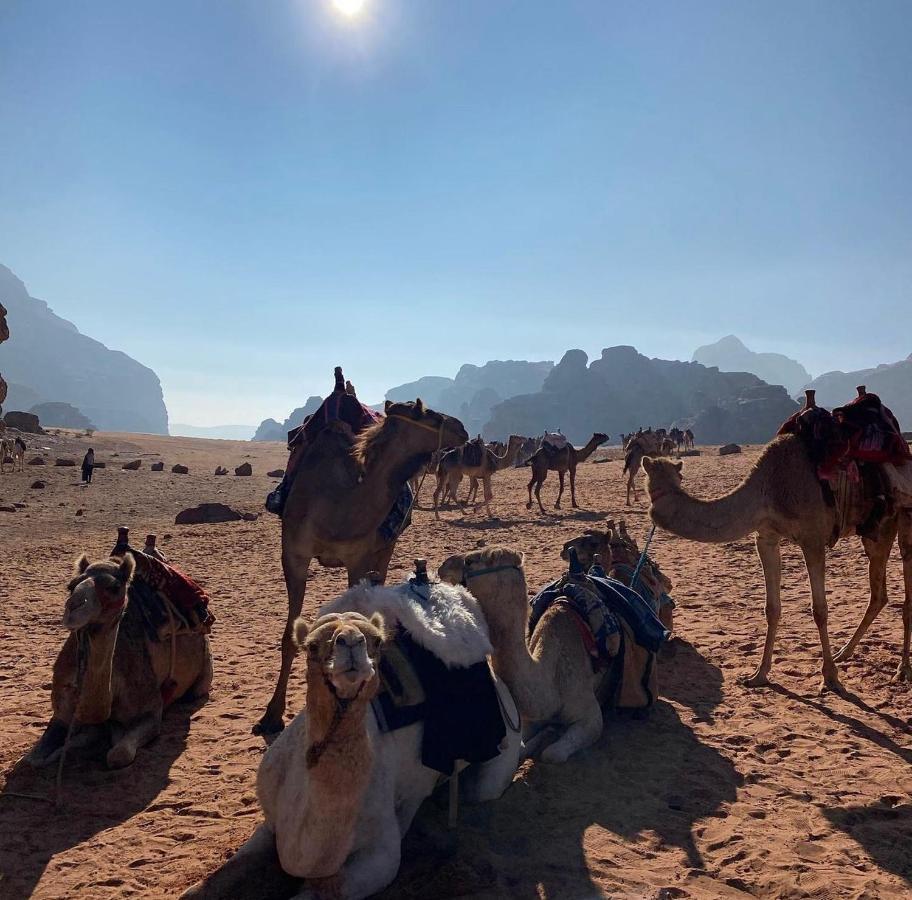Wadi Rum Desert Camp Exteriér fotografie