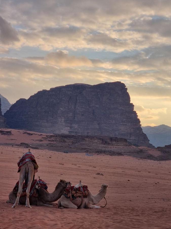 Wadi Rum Desert Camp Exteriér fotografie