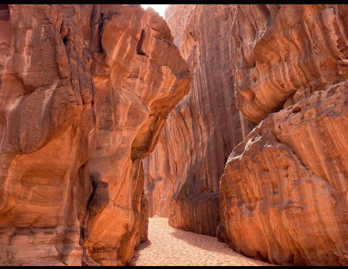 Wadi Rum Desert Camp Exteriér fotografie